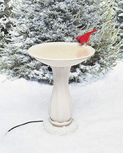 Load image into Gallery viewer, API Heated Birdbath Heated Bird Bath with Mounting Hardware (Item No. 600)