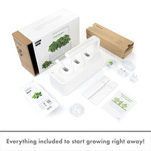 Load image into Gallery viewer, Click & Grow Indoor Herb Garden Kit with Grow Light | Smart Garden for Home Kitchen Windowsill | Easier Than Hydroponics Growing System | Vegetable Gardening Starter (3 Basil Pods Included), White