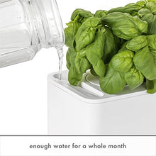 Load image into Gallery viewer, Click & Grow Indoor Herb Garden Kit with Grow Light | Smart Garden for Home Kitchen Windowsill | Easier Than Hydroponics Growing System | Vegetable Gardening Starter (3 Basil Pods Included), White