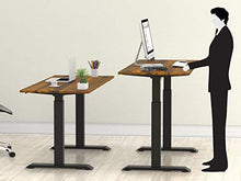 Load image into Gallery viewer, SHW Standing Desk Electric Height Adjustable Computer Desk, 48 x 24 Inches, Walnut