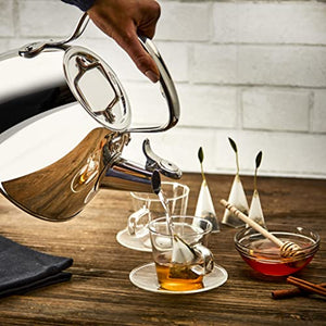 All-Clad E86199 Stainless Steel Tea Kettle, 2-Quart, Silver