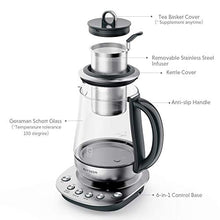 Load image into Gallery viewer, BUYDEEM K2423 Tea Maker, Durable 316 Stainless Steel &amp; German Schott Glass Electric Kettle, Removable Infuser, Auto Keep Warm, BPA Free, 1.2L

