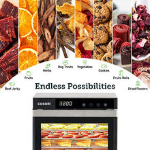Load image into Gallery viewer, COSORI Food Dehydrator (50 Recipes) for Jerky, Vegetables Fruit, Meat, Dog Treats, Herbs, and Yogurt, Dryer Machine with Temperature Control, 6 Stainless Steel Trays, ETL Listed, Silver
