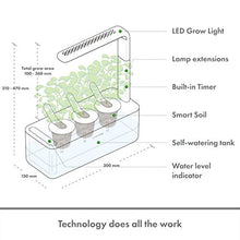 Load image into Gallery viewer, Click &amp; Grow Indoor Herb Garden Kit with Grow Light | Smart Garden for Home Kitchen Windowsill | Easier Than Hydroponics Growing System | Vegetable Gardening Starter (3 Basil Pods Included), White
