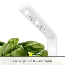 Load image into Gallery viewer, Click &amp; Grow Indoor Herb Garden Kit with Grow Light | Smart Garden for Home Kitchen Windowsill | Easier Than Hydroponics Growing System | Vegetable Gardening Starter (3 Basil Pods Included), White
