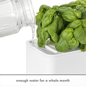 Click & Grow Indoor Herb Garden Kit with Grow Light | Smart Garden for Home Kitchen Windowsill | Easier Than Hydroponics Growing System | Vegetable Gardening Starter (3 Basil Pods Included), White