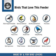 Load image into Gallery viewer, Droll Yankees YF-M Yankee Flipper Squirrel-Proof Bird Feeder, 17.25", Green

