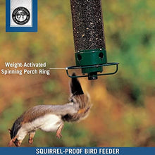 Load image into Gallery viewer, Droll Yankees YF-M Yankee Flipper Squirrel-Proof Bird Feeder, 17.25", Green
