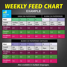 Load image into Gallery viewer, General Hydroponics Flora Grow, Bloom, Micro Combo Fertilizer set, 1 Gallon (Pack of 3)
