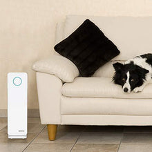 Load image into Gallery viewer, Germ Guardian True HEPA Filter Air Purifier, UV Light Sanitizer, Eliminates Germs, Filters Allergies, Pets, Pollen, Smoke, Dust, Mold, Odors, Quiet 22 inch 5-in-1 Air Purifier for Home, White
