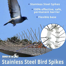 Load image into Gallery viewer, Bird-X STS-50 Regular Width 6-inch Stainless Steel Bird Spikes, Metal Roof Guard Pigeon Prevention, Rodent Deterrent, Animal and Pest Control Supplies, 50 feet
