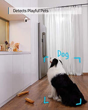 Load image into Gallery viewer, eufy Security, 2K Indoor Cam Pan &amp; Tilt 2-Cam Kit, Plug-in Security Indoor Camera with Wi-Fi, IP Camera, Human &amp; Pet AI, Voice Assistant Compatibility, Motion Tracking, HomeBase Not Required.
